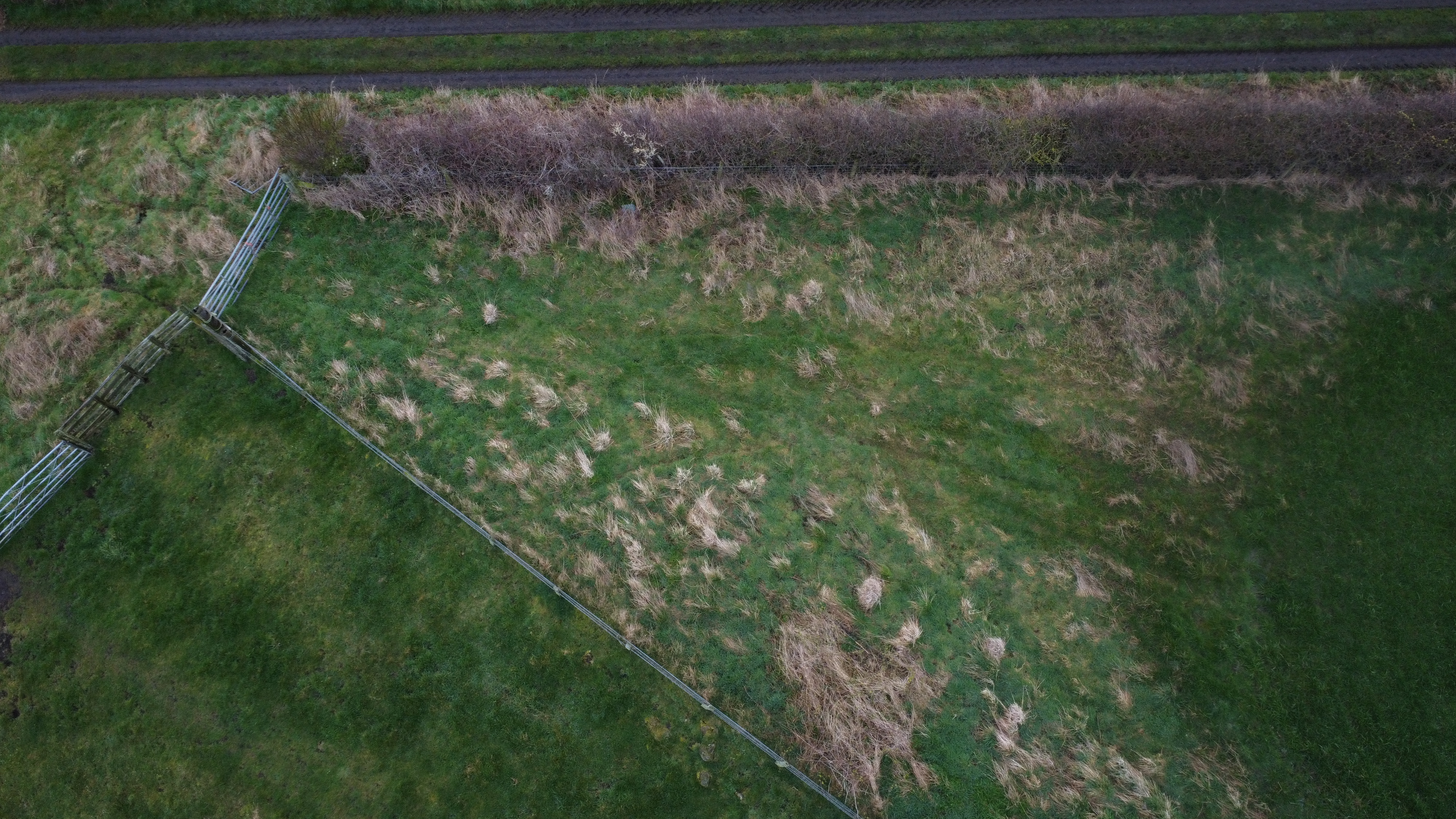 Overhead view of the pit in 2023. There are no remains.