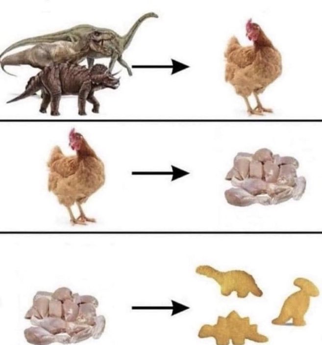 NoContextBrits's tweet photo. The circle of life. https://t.co/2ws05VZh6w