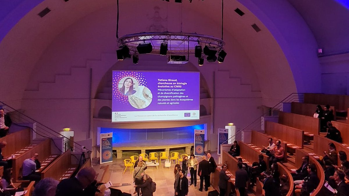 UEFrance's tweet photo. 👩‍🔬 Avec @sup_recherche, nous célébrons aujourd'hui 𝟏 𝟓𝟎𝟎 𝐥𝐚𝐮𝐫𝐞́𝐚𝐭𝐬 du Conseil européen de la recherche en France 🇫🇷

Créé en 2007, l'@ERC_Research soutient l'excellence scientifique à travers l'Europe 🇪🇺

La France est le 2ème pays en termes de financements du CER 🥈 https://t.co/kaQGE74Hfd