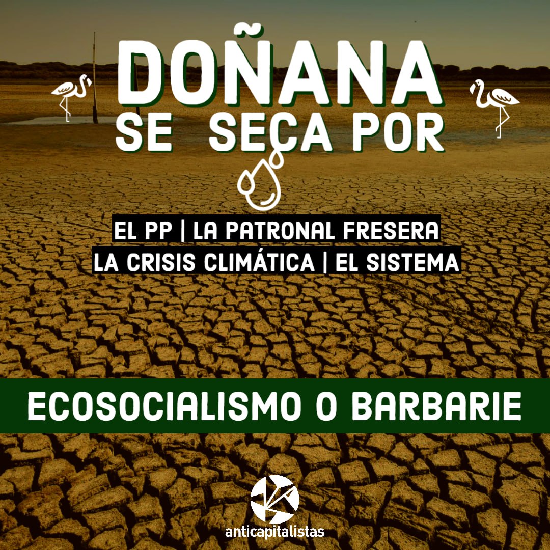 anticapi's tweet photo. 🔴 Los empresarios creen que todo vale para asegurar sus beneficios, el capitalismo está dispuesto a todo para garantizar su crecimiento.

💥 Ante su destrucción y explotación, construyamos una respuesta  Ecosocialista!! 

#DonanaNoSeToca https://t.co/N4uglj65Rm