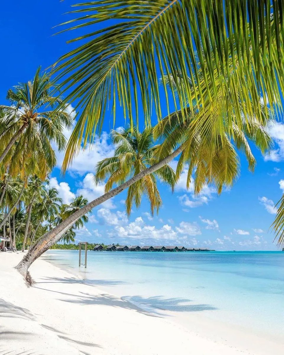 Greatest Vacations tweet media