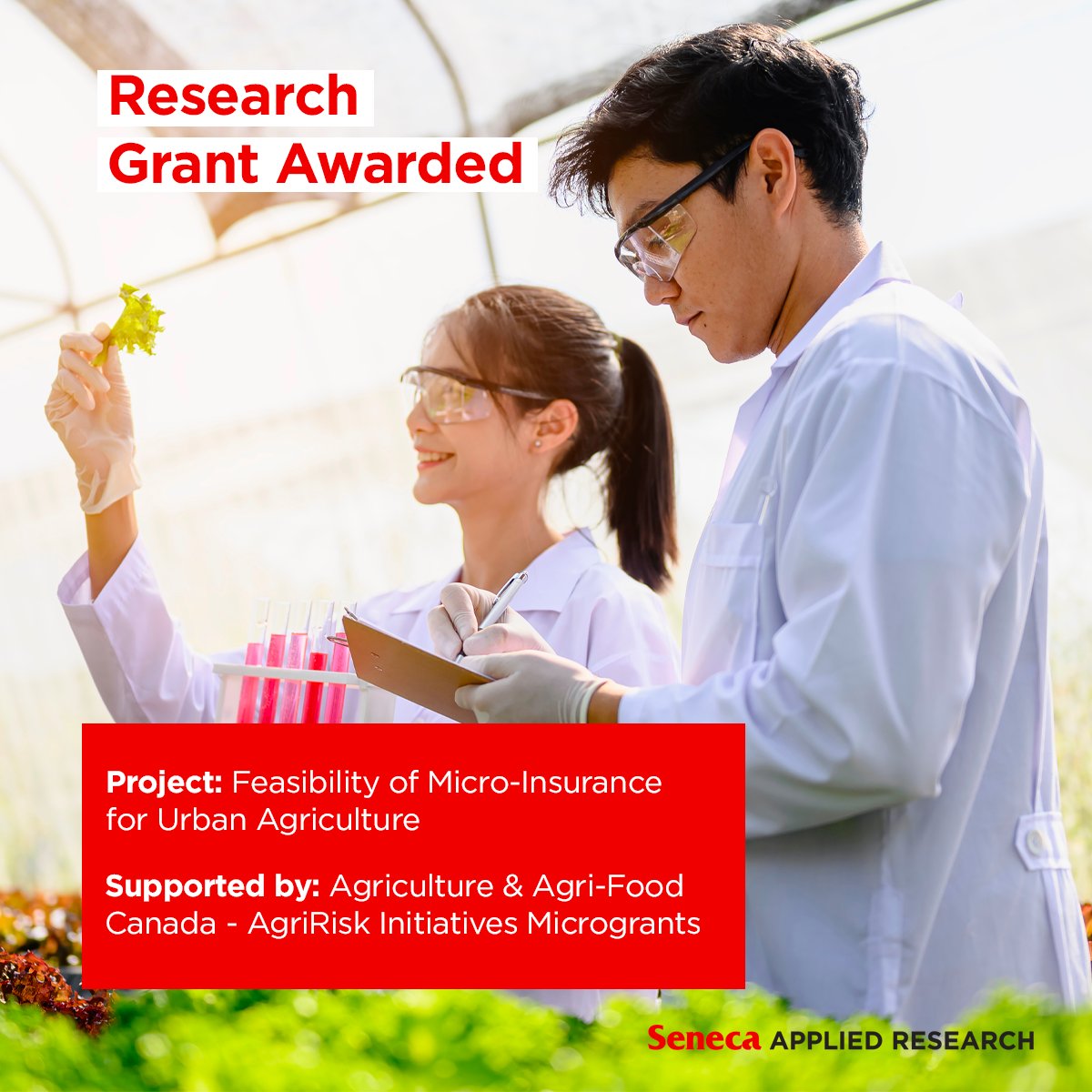 Seneca_Research's tweet photo. Students and faculty from Seneca worked on an important project focusing on the Feasibility of Micro-Insurance for Urban Agriculture. This work was funded in part by the Government of Canada under the Canadian Agricultural Partnership’s AgriRisk Initiatives.
#SenecaResearch https://t.co/DI2NxN55mv