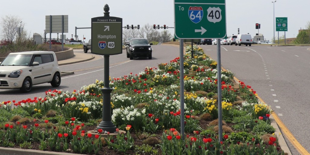 ForestPark4Ever's tweet photo. Tulips are open!🌷🎉 💙  @StLZoo

#ForestParkForever #ForestParkStL #ForestParkStLouis #ForestPark #ForestParkPic #StLouis #StL #AnimalsAlways https://t.co/ubyXRaqlSd