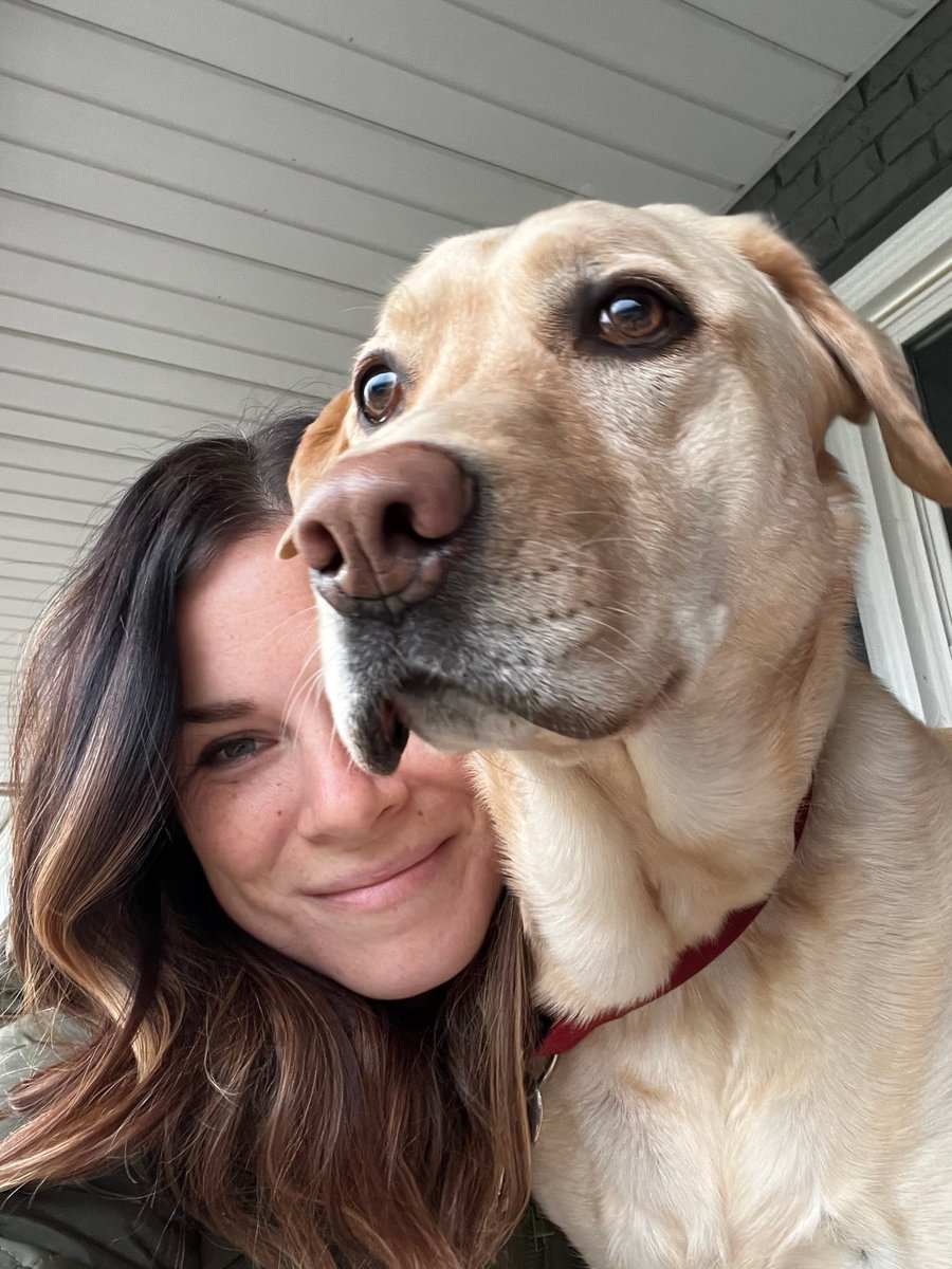 IvyIowaState's tweet photo. More pet photo submissions from #ForeverTrueDay! Thank you, Ivy community, for your incredible generosity, helping us pass our goal of over 250 donations this year #ForeverTrueDay! #IvyPower https://t.co/xYw26xxmcO