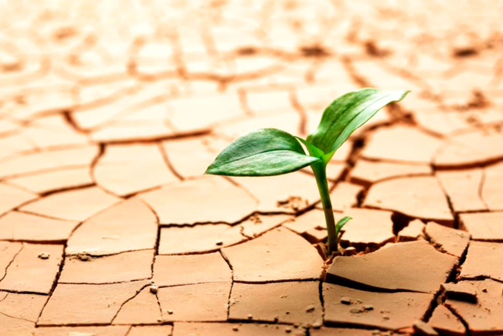 Josep Lluís Pouy tweet media