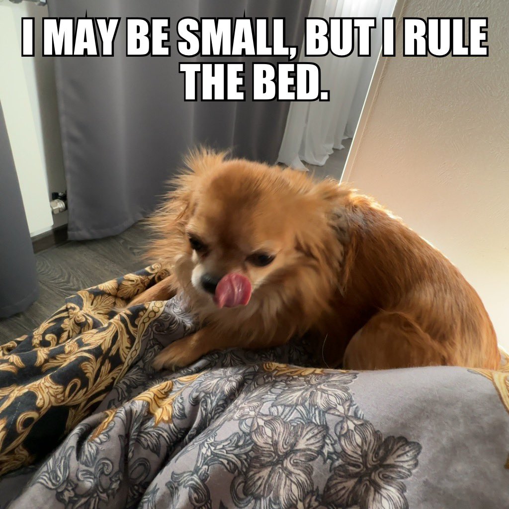 ❤️ 😛