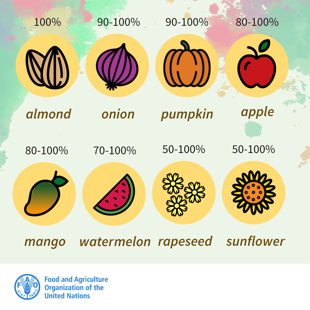 UNBiodiversity's tweet photo. Did you know that 75% of the world’s food crops depend at least in part on pollination?🦋🪰🐝🪲🐦🦇

Without pollinators, most of our nutritious food would disappear.

Learn more about pollinators here👉https://t.co/Yn7hNa2TrH #Savethebees

Via @FAO https://t.co/geUwyfyvED