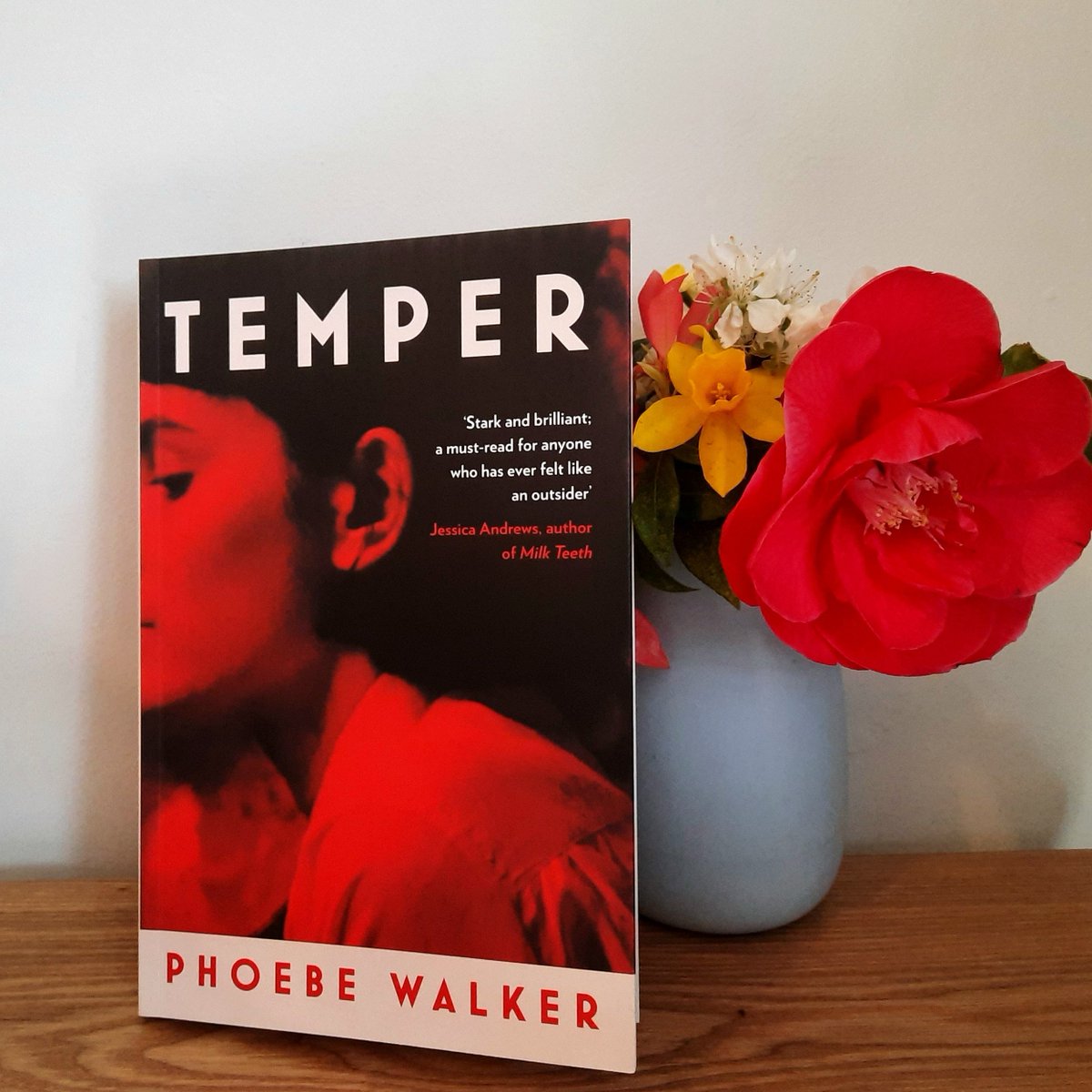 PhoebeLPWalker's tweet photo. Today's the day! Happy publication day to my debut novel, Temper (and its accompanying audiobook) - thrilled and vaguely terrified to have it out in the world.
https://t.co/jXd71GzSzU https://t.co/zmXFBd9qIU