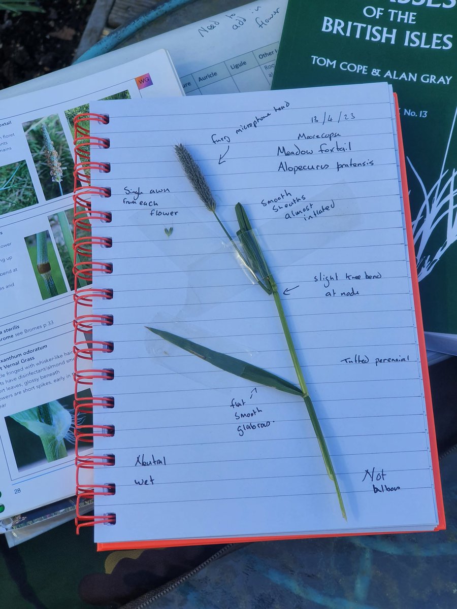 info_ecology's tweet photo. @crawley_mick Made a start. Hoping to follow along and learn lots.v https://t.co/C4Diij7RIE