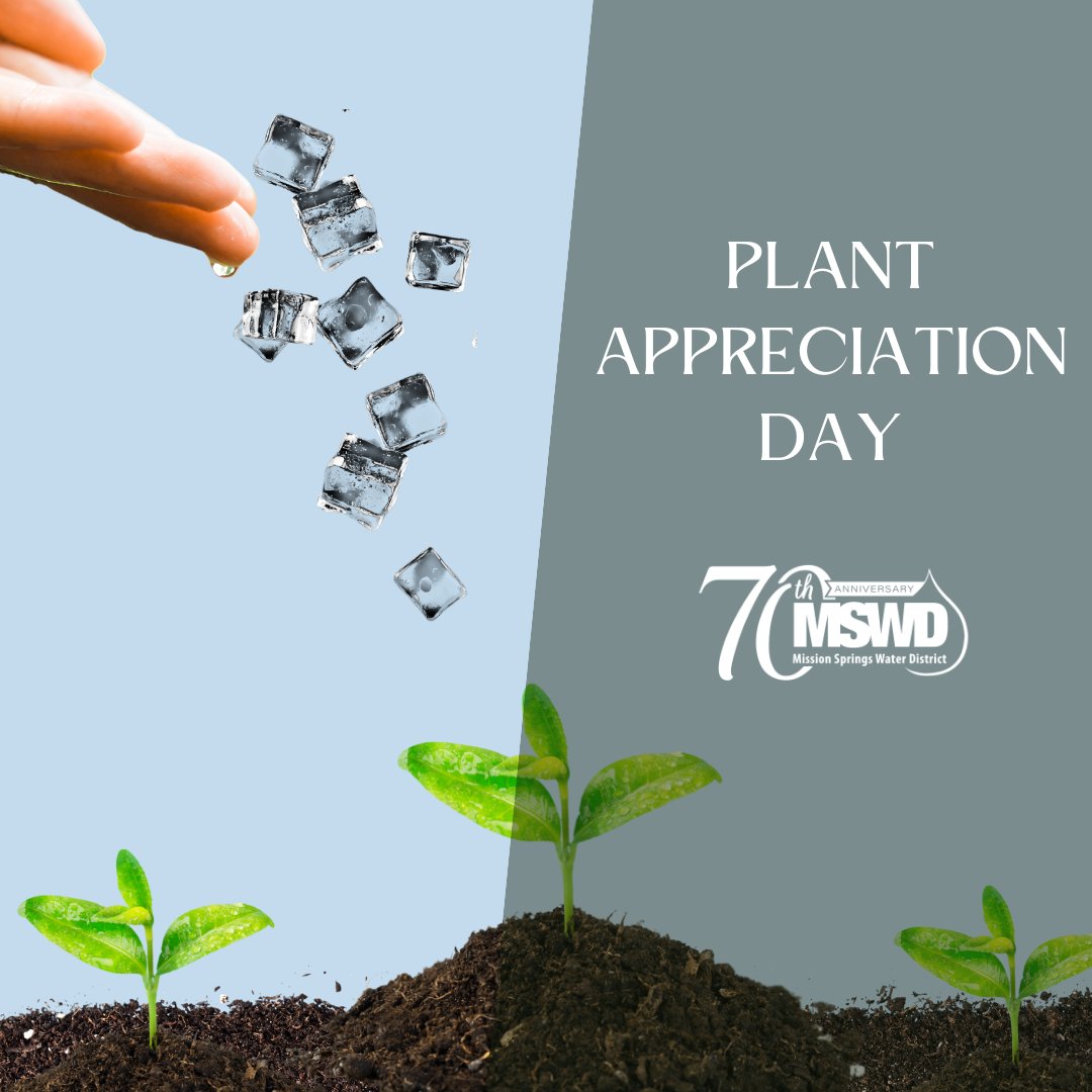 MSWaterDistrict's tweet photo. It is International Plant Appreciation Day! #DYK that you can help out your plants while saving water by using extra or fallen ice to water plants? That’s a chill idea!
#MSWD #PlantHack #SaveWater https://t.co/otVkuL94Zd