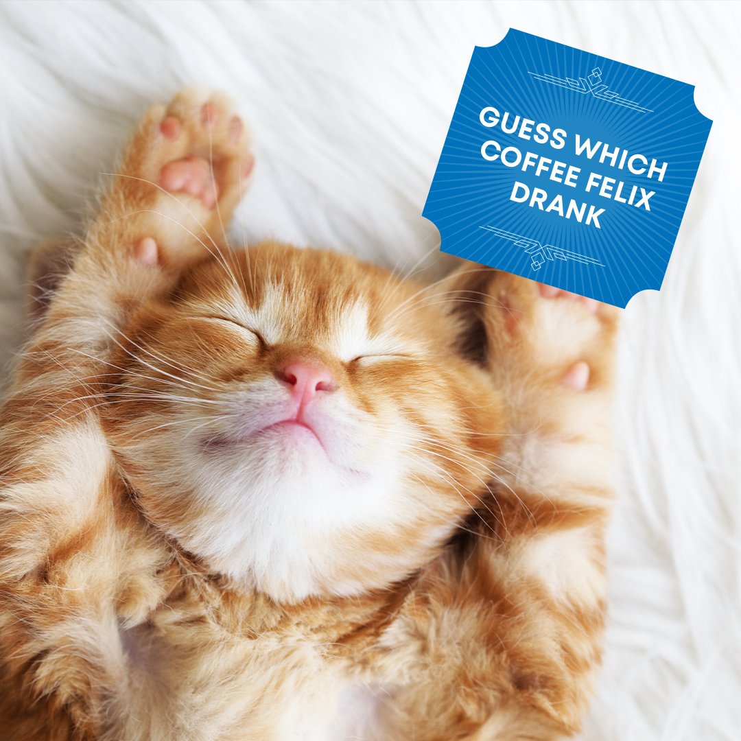 LyonsCoffee tweet media