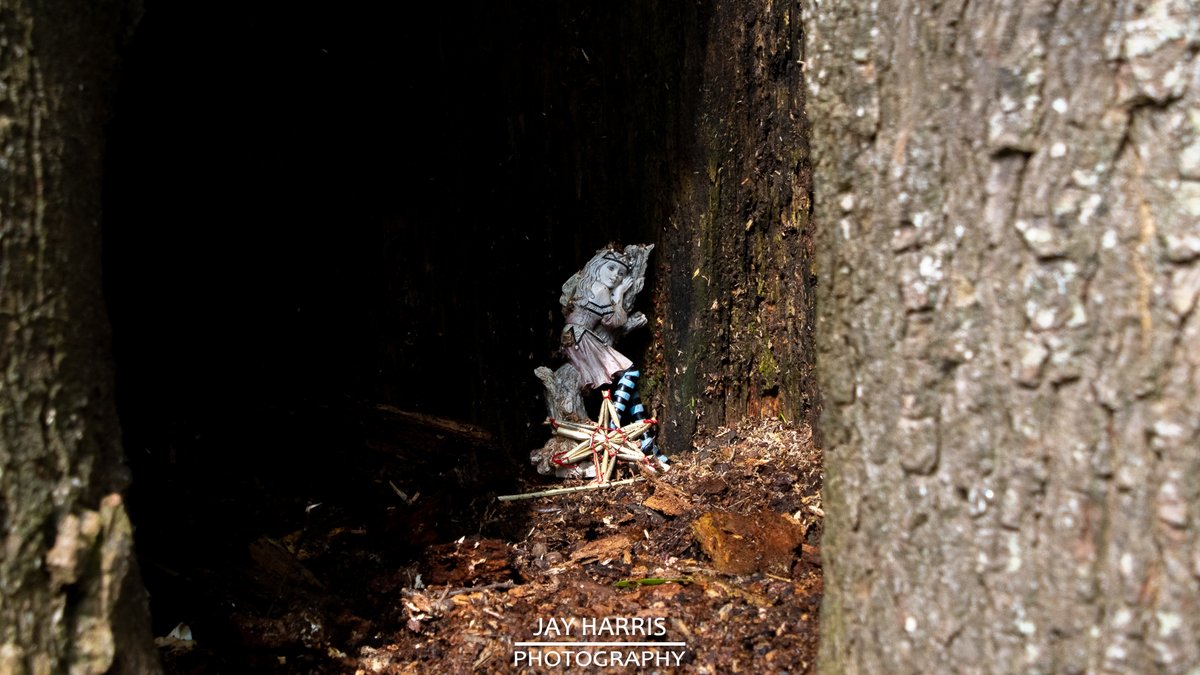 JayHarrisPhoto1's tweet image. 𝗘𝗔𝗦𝗧𝗘𝗥 𝗦𝗨𝗡𝗗𝗔𝗬 stroll around 𝗦𝗛𝗢𝗕𝗥𝗢𝗢𝗞𝗘 𝗣𝗔𝗥𝗞

facebook.com/jayharrisphoto…

#shobrookepark #devon #middevon #landscapephotography