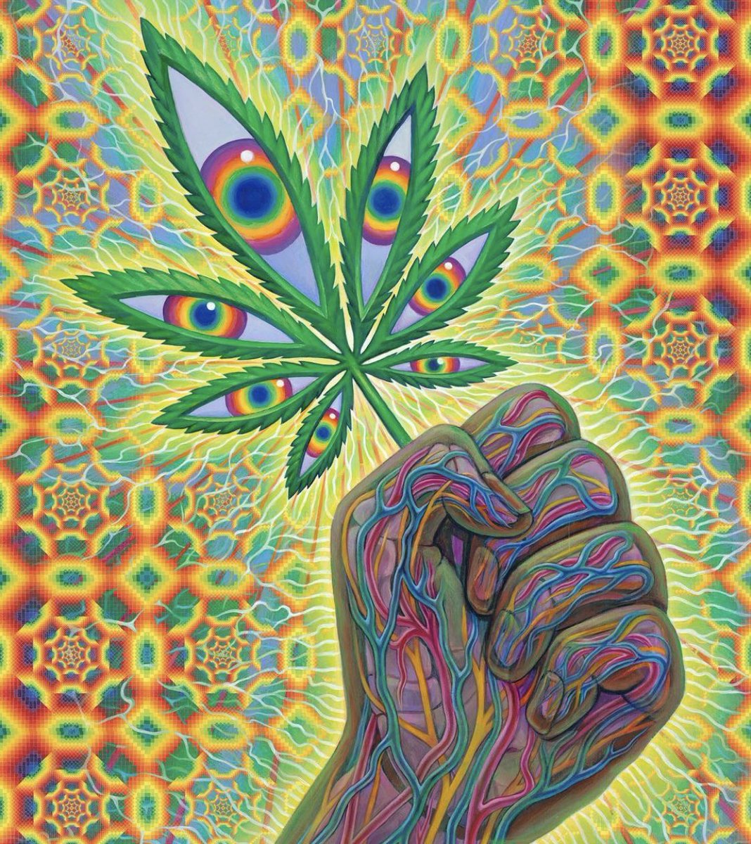 daviddinenberg's tweet photo. Amazing #Cannabis art by @alexgreycosm The psychedelic visionary artist! Great stuff! #LegalizeIt #CannabisCommunity #Mmemberville #Art https://t.co/SBBQzVaEgQ