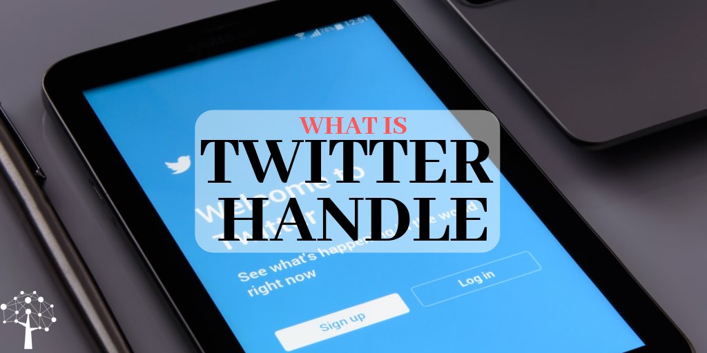 ProfileTreeDelh's tweet image. What Is A Twitter Handle?

youtube.com/watch?v=YSOBMd…
 
#TwitterHandle #Twitter

How Do You Make a Twitter Handle?  youtu.be/YSOBMd5cBdM