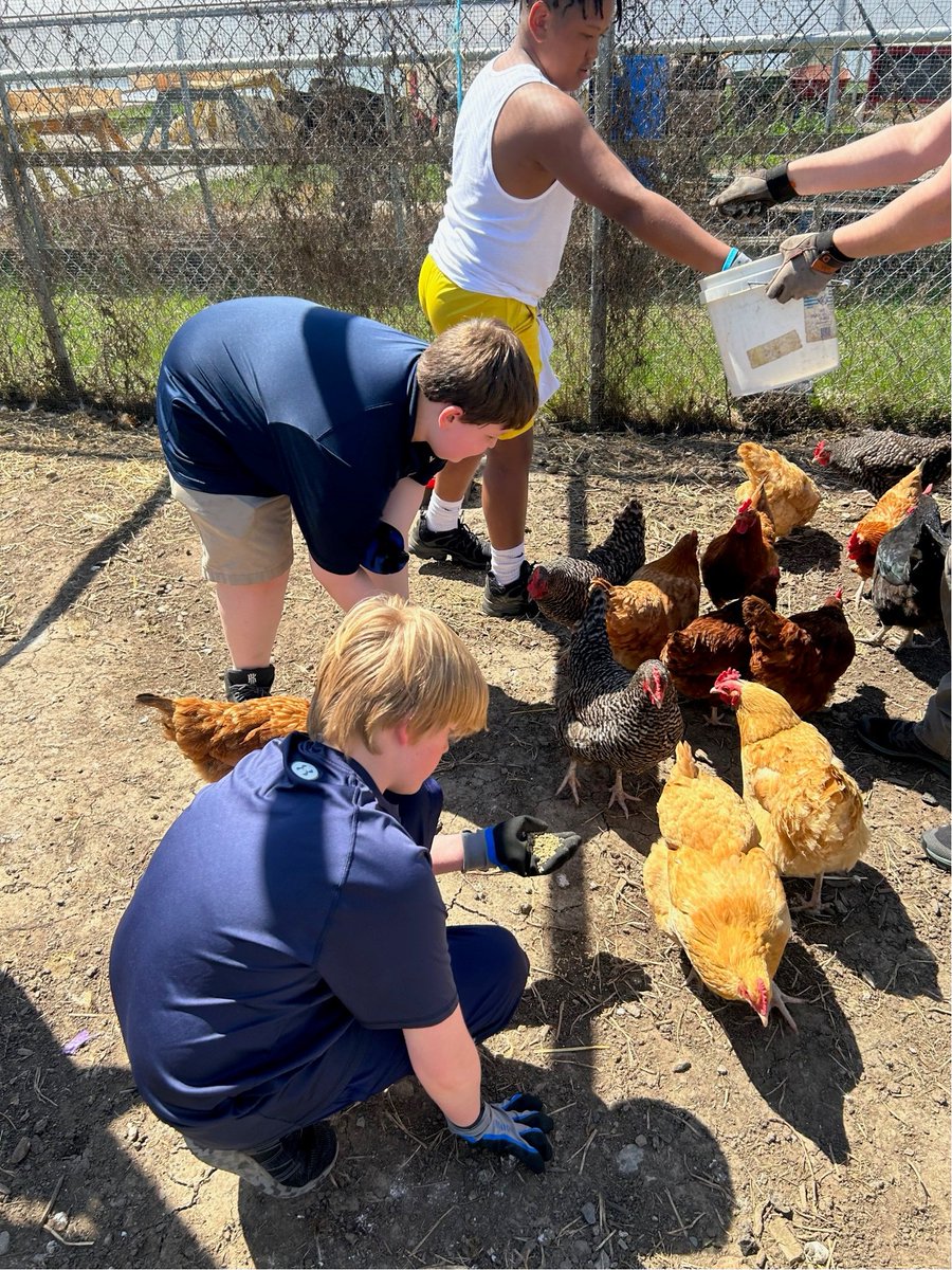 SJJAcademy04's tweet photo. Our 6th graders got out on service at Toledo Grows and helped prepare a field for the planting of potatoes. https://t.co/qxTGixw9zF