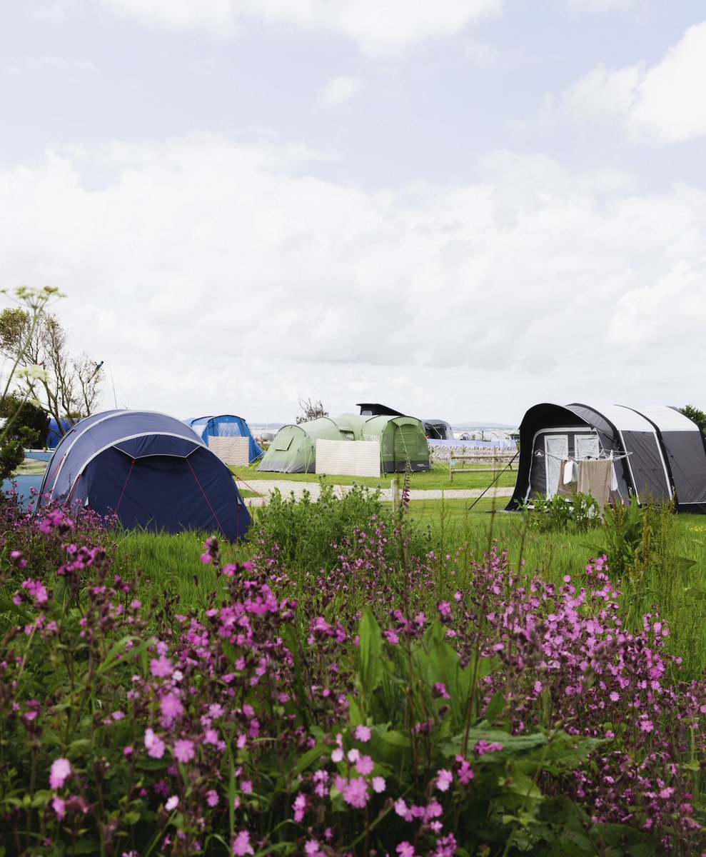 AtlanticReach's tweet photo. Spring has officially sprung! 🌸 If you’re looking for a family escape, Cornwall has the beaches, nature and authentic Cornish attractions… and we’re located in the centre of it all 🙌 #ForFamiliesWhoLoveCornwall

Book your next holiday here: https://t.co/Nawm1eHKPb https://t.co/IORYziXSxJ