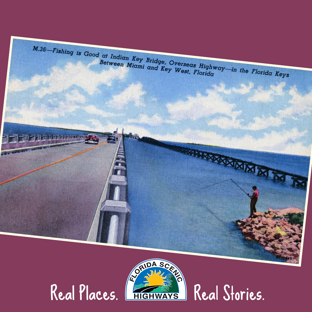 FLscenichighway's tweet photo. Thereβs always been good fishing along our first #AllAmericanRoad, the Florida Keys Scenic Highway. Hereβs the evidence from a 1951 postcard!
π· https://t.co/xBy4P0S54I
#TBT #FLKeys #StateArchivesofFlorida #FloridaMemory @MyFDOT_Miami https://t.co/wfHUnCN6Bg