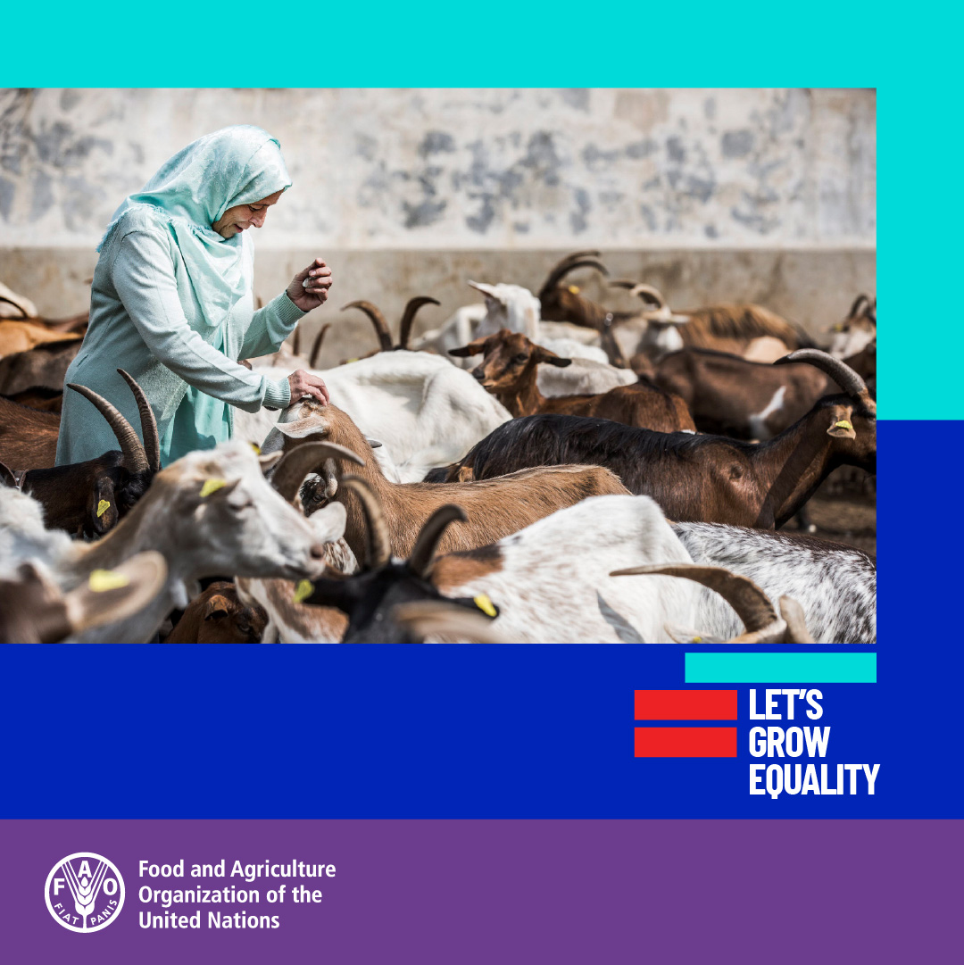 on-twitter-rt-faosocioecon-dyk-that-women