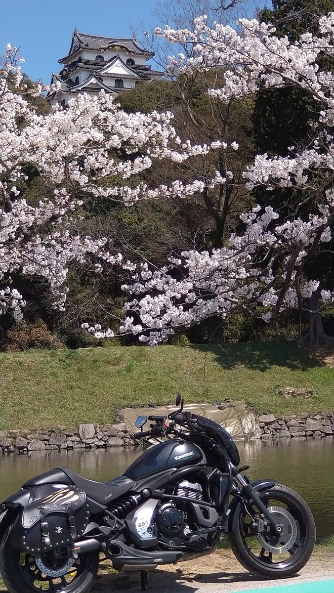 Atsushi/つつじ家/癖毛髪忠興 tweet media