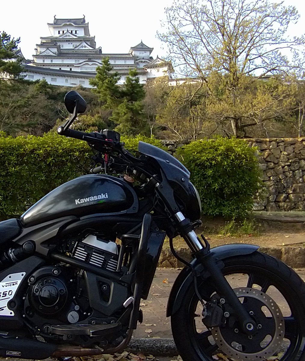 Atsushi/つつじ家/癖毛髪忠興 tweet media