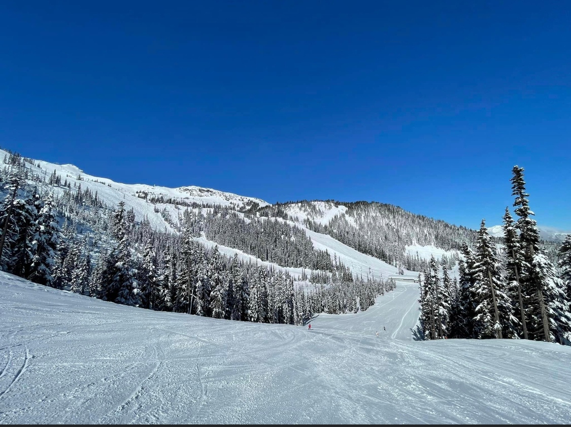 InTheSnow Magazine tweet media