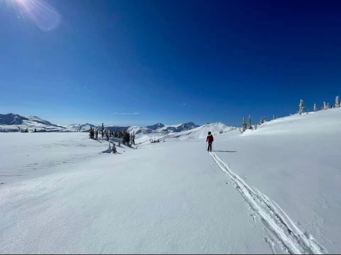 InTheSnow Magazine tweet media