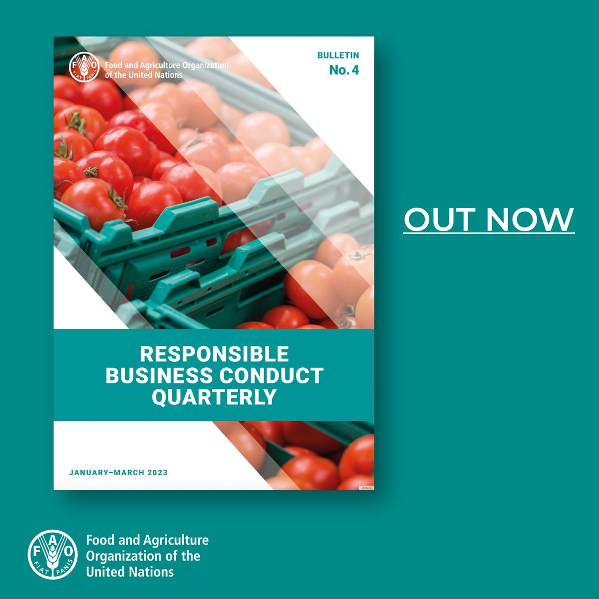 FAO Social & Economic Development tweet media