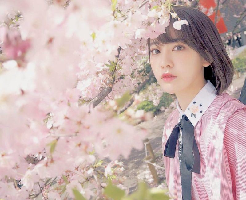 Acervo Miyawaki Sakura (@Sakurambrazil) / Posts / X