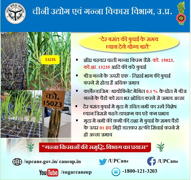" किसान भाइयों हेतु देर बसंत की बुवाई के समय ध्यान देने योग्य बातें" #upcane #गन्नाबुवाई
 <a href="/UPCane/">Cane Development UP</a> <a href="/UPGovt/">Government of UP</a> <a href="/CMOfficeUP/">CM Office, GoUP</a> <a href="/InfoDeptUP/">Information and Public Relations Department, UP</a>