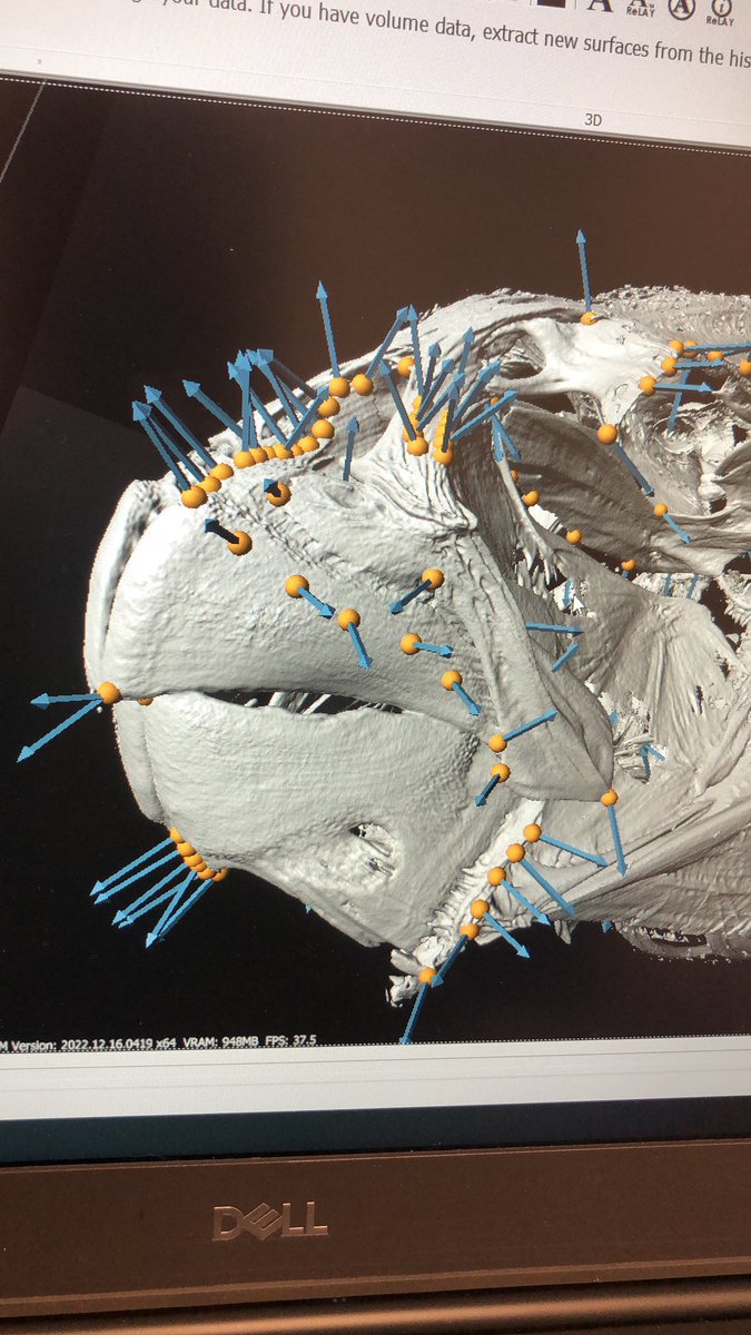 Another day, another beaks! 
#pufferfish #TeamFish