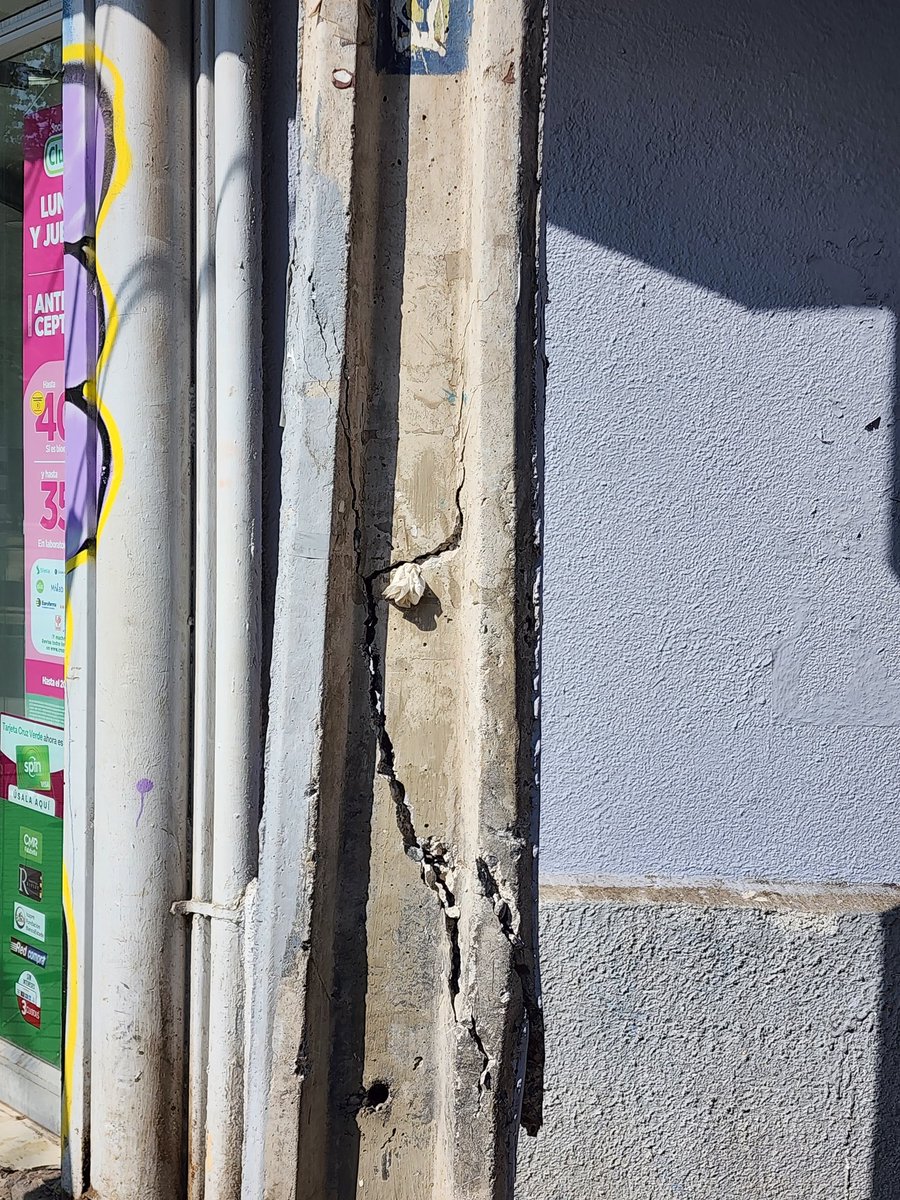 Patricio Martinez T tweet media