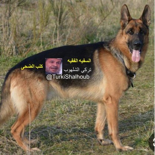 azaharane's tweet photo. @TurkiShalhoub الكلب ما دوره الا النباح
صوتك خافت ما نسمعه ارفع صوتك يا كلب حتى نسمعه https://t.co/lBZx53V29i