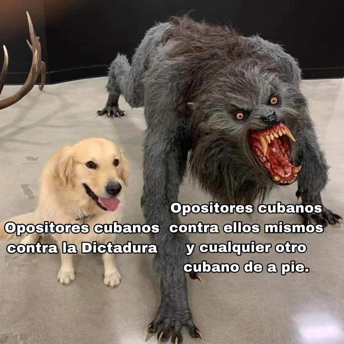 Nemael_'s tweet photo. ¿Sí o no? https://t.co/kycuEvj5l1