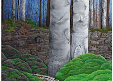 Conserving Our Rural Ecosystems of Burlington Inc. tweet media