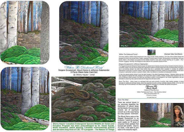 Conserving Our Rural Ecosystems of Burlington Inc. tweet media