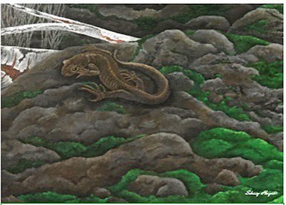 Conserving Our Rural Ecosystems of Burlington Inc. tweet media