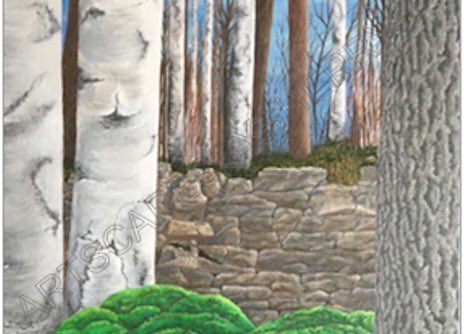 Conserving Our Rural Ecosystems of Burlington Inc. tweet media