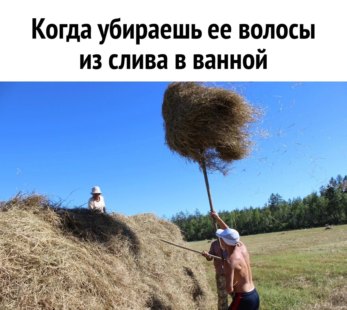 Как будто с животным живешь...