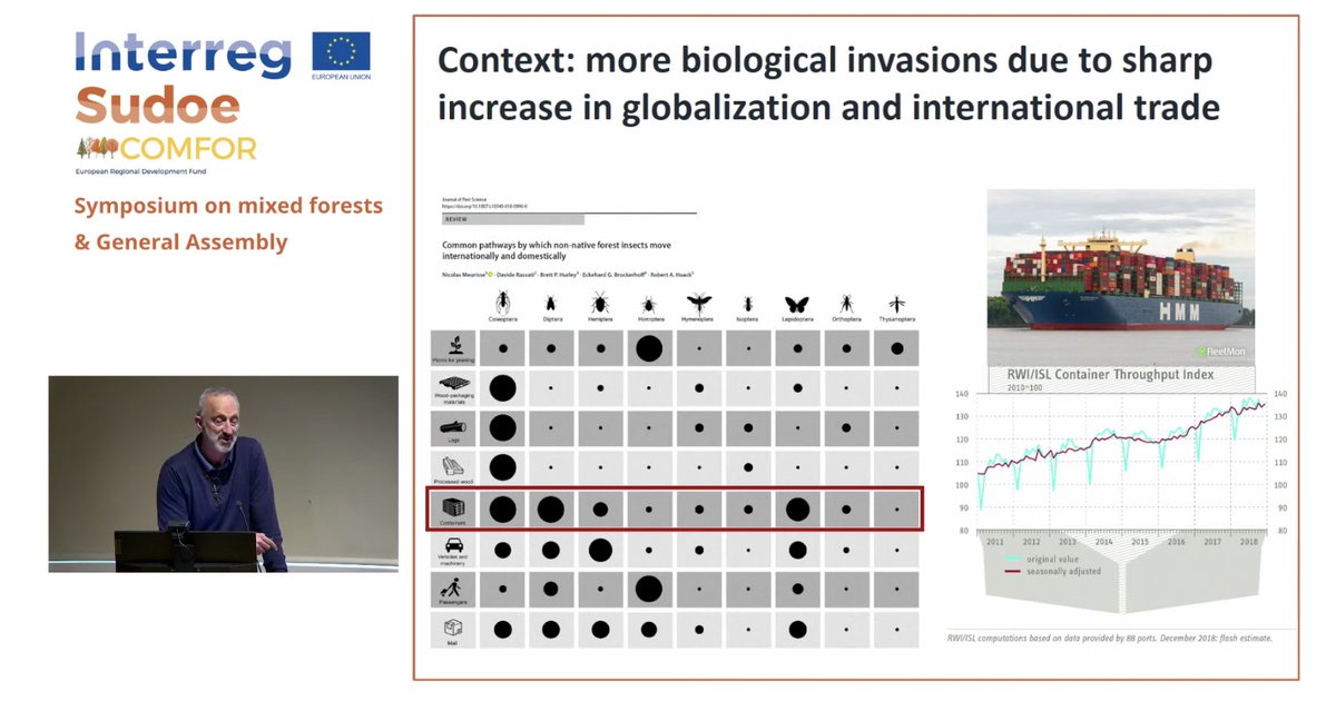 ecoacsa's tweet photo. Afternoon speakers @ #COMFORSUDOE final conference are addressing
🟢Resistance of mixed forests to non-native pests, Hervé Jactel from @INRAE_France
🟢 Mixed forests to the rescue? Fostering resilience in Western Canada @IgnacioBarbeito from @UBC #complexforests #mixedforests https://t.co/lXQ431Qz5V