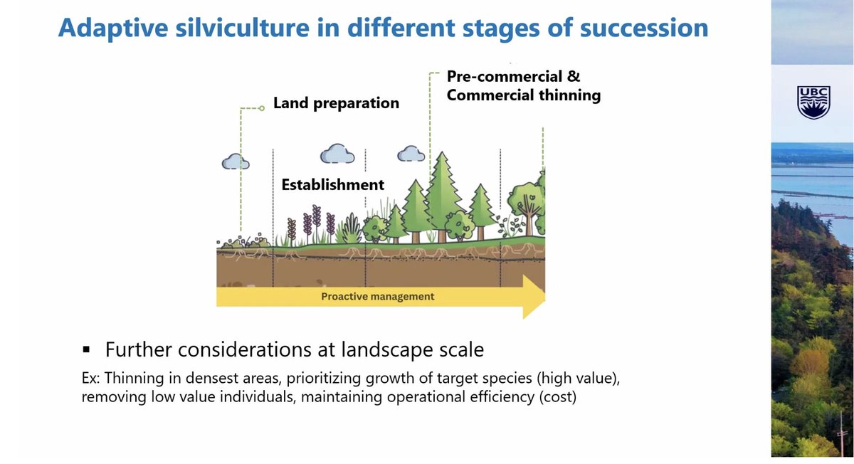 ecoacsa's tweet photo. Afternoon speakers @ #COMFORSUDOE final conference are addressing
🟢Resistance of mixed forests to non-native pests, Hervé Jactel from @INRAE_France
🟢 Mixed forests to the rescue? Fostering resilience in Western Canada @IgnacioBarbeito from @UBC #complexforests #mixedforests https://t.co/lXQ431Qz5V
