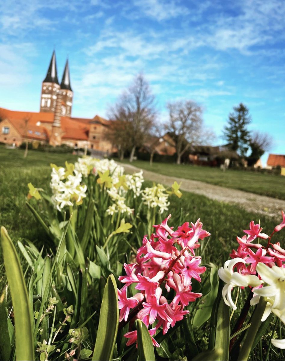 KlosterJerichow's tweet photo. Heute ist #EhrentagDerPflanze &amp; die #Frühblüher im #KlosterJerichow zeigen sich prächtig!

Führungen durch den #Klostergarten gibt's von Mai bis September

#pflanze #jerichow #jerichowerland #spring #naturimgarten #reiselandsachsenanhalt #strassederromanik #elbe #altmark #garten https://t.co/vlDHM2aQXL