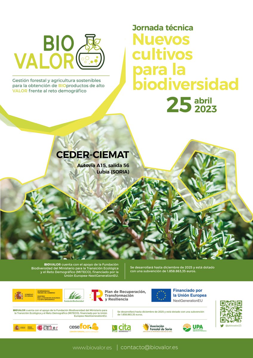 CederCiemat's tweet photo. 25 de Abril. Jornada técnica 'Nuevos cultivos para la biodiversidad'🪲🌾🐞🌼  con demostración de siembra de distintos cultivos industriales: Plantas aromáticas y medicinales (PAM), cártamo, crambe,  meliloto, olmo. @pbiovalor23 y @midasproject 
APÚNTATE
https://t.co/hQjRi5Gjmy https://t.co/Hu3lLzKFZ7