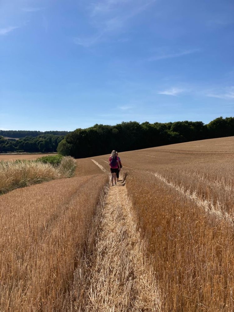 Smile4Wessex (@smile4wessex) on Twitter photo The team from @MooreBarlowLLP will soon be dusting off their walking boots in aid of <a href="/Smile4Wessex/">Smile4Wessex</a>
The intrepid team will embark on their latest 26km walking challenge on 13th May & we are truly grateful for their support 🙏 #MilesforSmiles <a href="/CentreWessex/">Wessex Neurological Centre</a> justgiving.com/fundraising/mo… The team from @MooreBarlowLLP will soon be dusting off their walking boots in aid of <a href="/Smile4Wessex/">Smile4Wessex</a>
The intrepid team will embark on their latest 26km walking challenge on 13th May & we are truly grateful for their support 🙏 #MilesforSmiles <a href="/CentreWessex/">Wessex Neurological Centre</a> justgiving.com/fundraising/mo…