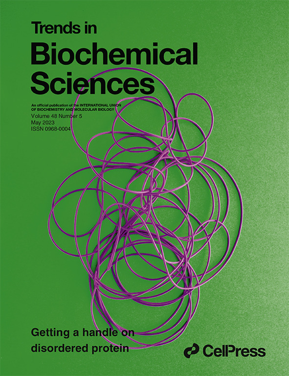 Trends in Biochemical Sciences (@trendsbiochem) on Twitter photo Our May issue is live!
Read Reviews on:
#computational methods for ligand binding #kinetics (<a href="/anunesalves/">Ariane Nunes Alves</a>)
#coenzymeQ biochemistry (<a href="/Pagliarini_Lab/">Pagliarini Lab</a>)
#disorderedprotein interaction modules (<a href="/hodgeshc/">H. Courtney Hodges</a> - on the cover!)
and more!
cell.com/trends/biochem… Our May issue is live!
Read Reviews on:
#computational methods for ligand binding #kinetics (<a href="/anunesalves/">Ariane Nunes Alves</a>)
#coenzymeQ biochemistry (<a href="/Pagliarini_Lab/">Pagliarini Lab</a>)
#disorderedprotein interaction modules (<a href="/hodgeshc/">H. Courtney Hodges</a> - on the cover!)
and more!
cell.com/trends/biochem…