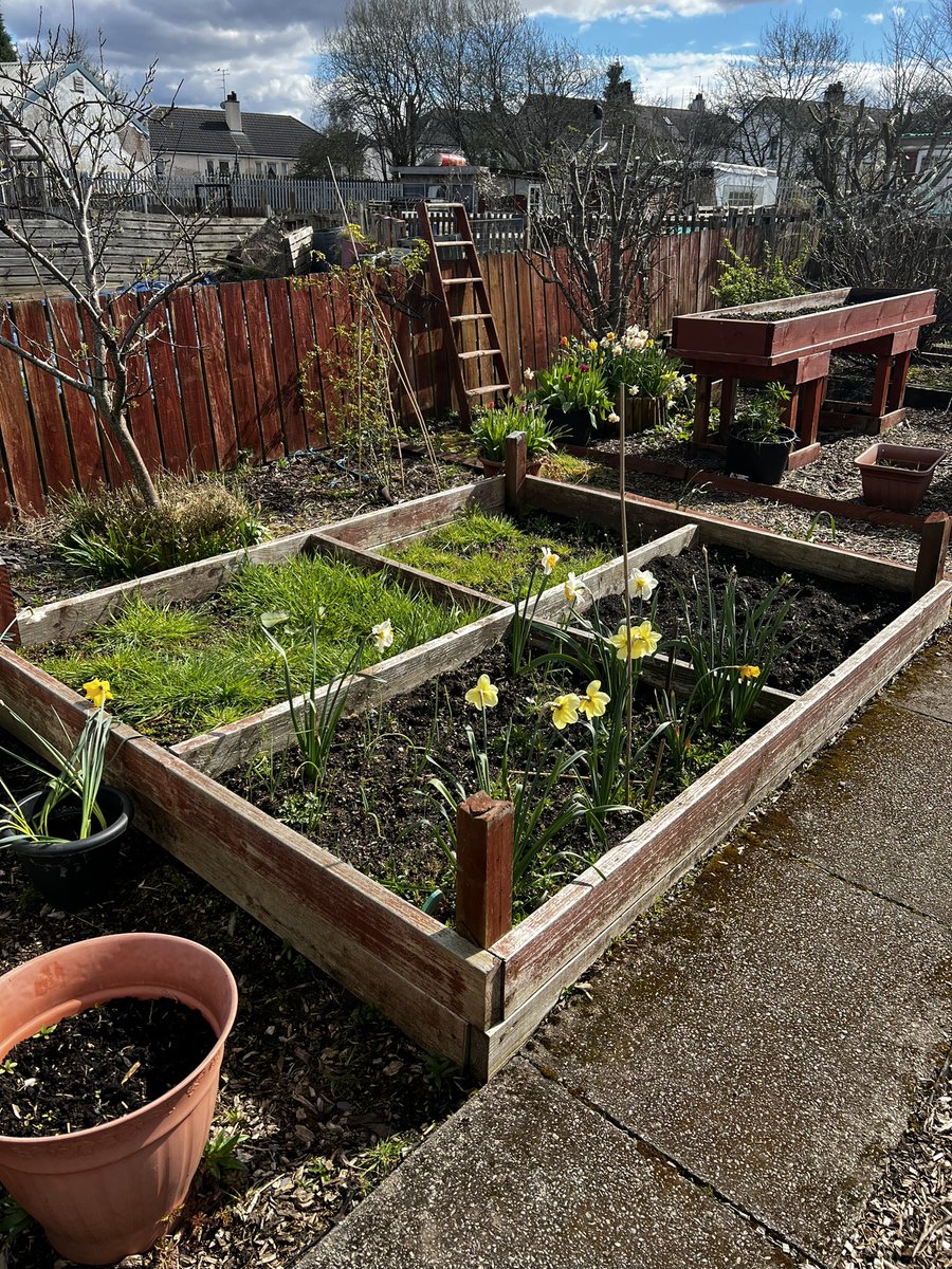 DanielGall1234's tweet photo. Using our allotment environment in a variety of ways in the Glasgow FCMHT. Painting sessions for a much needed freshen up. Big plans and plenty of crops this summer 🥕🍅🥦🧅🧄
@MoiraForensicOT @cheryl_mcmorris https://t.co/t6aufpgZx3