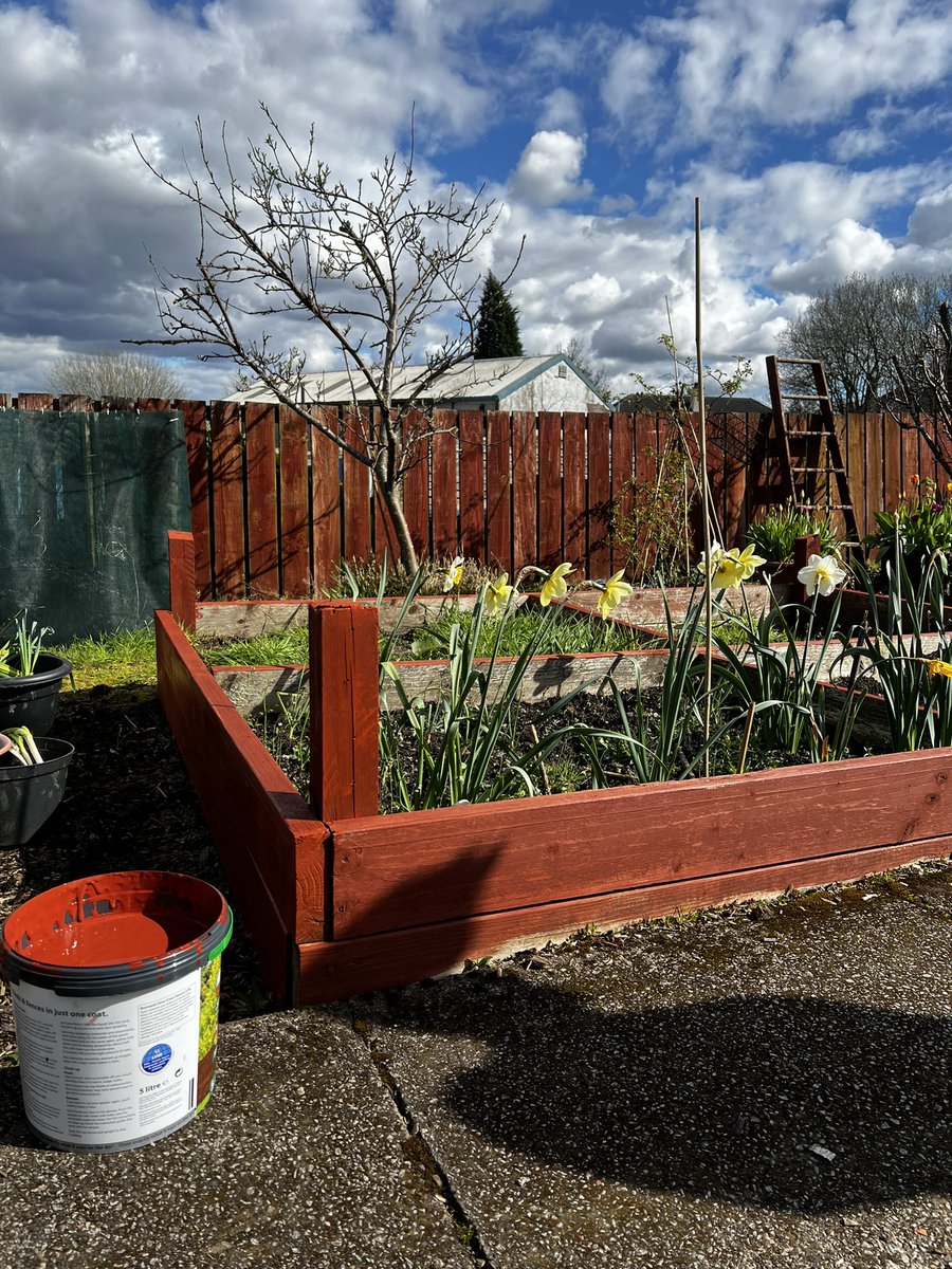 Using our allotment environment in a variety of ways in the Glasgow FCMHT. Painting sessions for a much needed freshen up. Big plans and plenty of crops this summer 🥕🍅🥦🧅🧄
<a href="/MoiraForensicOT/">Moira Paterson</a> <a href="/cheryl_mcmorris/">Cheryl McMorris</a>
