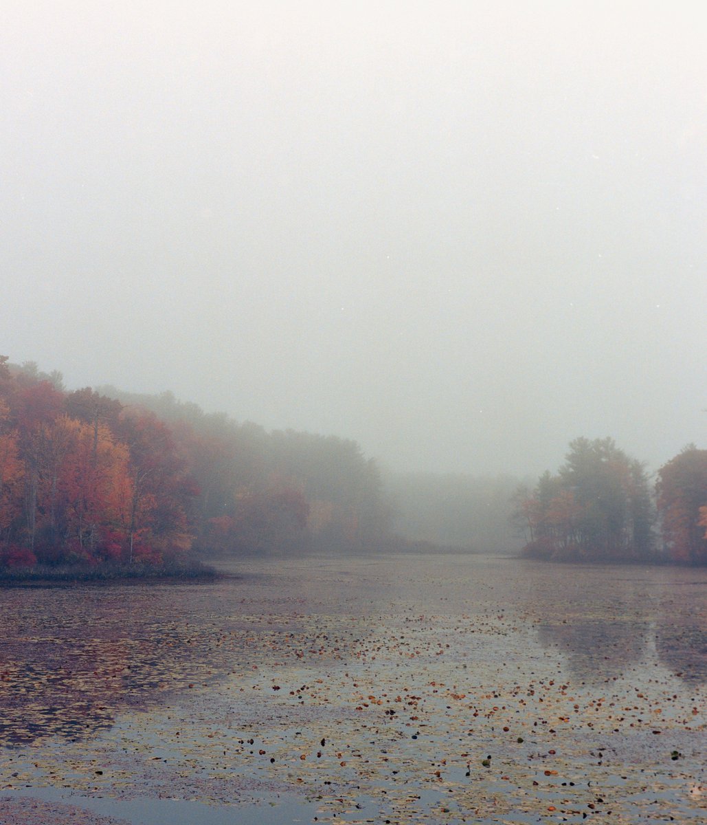 bryanpjackson's tweet photo. Fall in Massachusetts https://t.co/mJJJS3rVWM