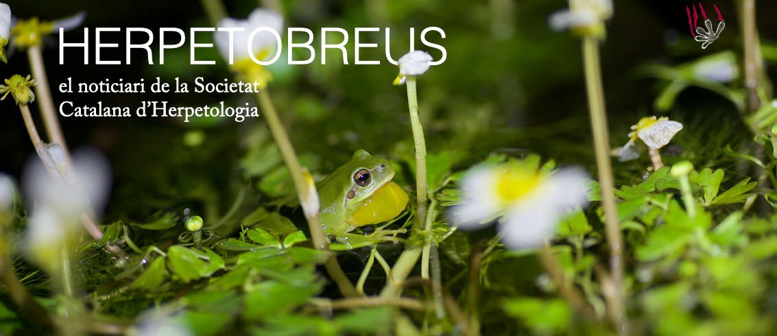 Societat Catalana d'Herpetologia tweet media