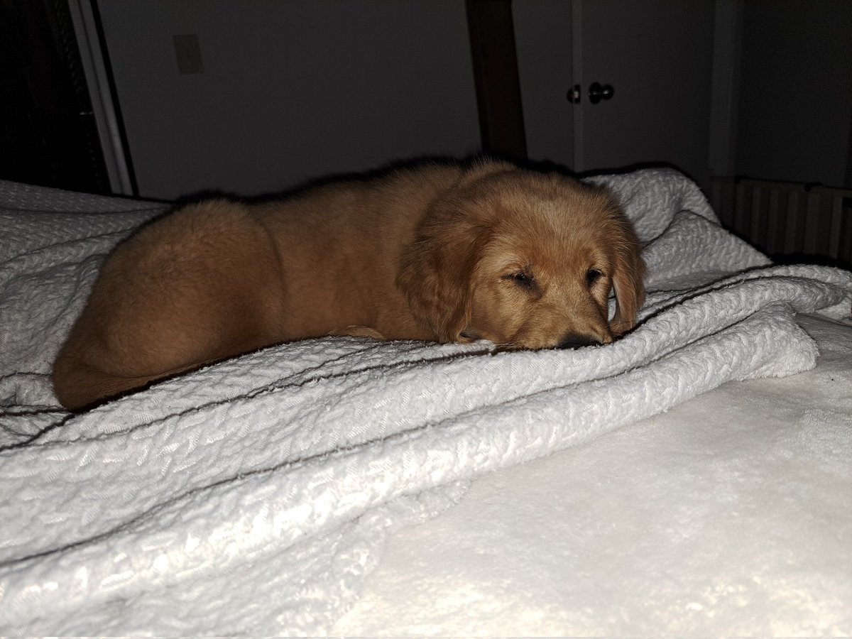 Bacon4EverEver tweet media