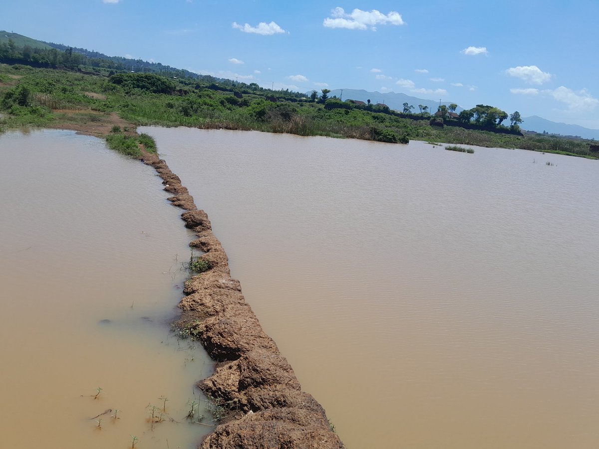 DAbrahamB's tweet photo. The excessive quarrying in Kanyakwar making the area inaccessible and dangerous to for the residents as when it rains the quarries fill up with water displacing the residents and making the area prone to waterborne diseases
#Vulnerabilitymapping @Wanavijiji_sdi @WeAreVCA https://t.co/hLLTTHudbn